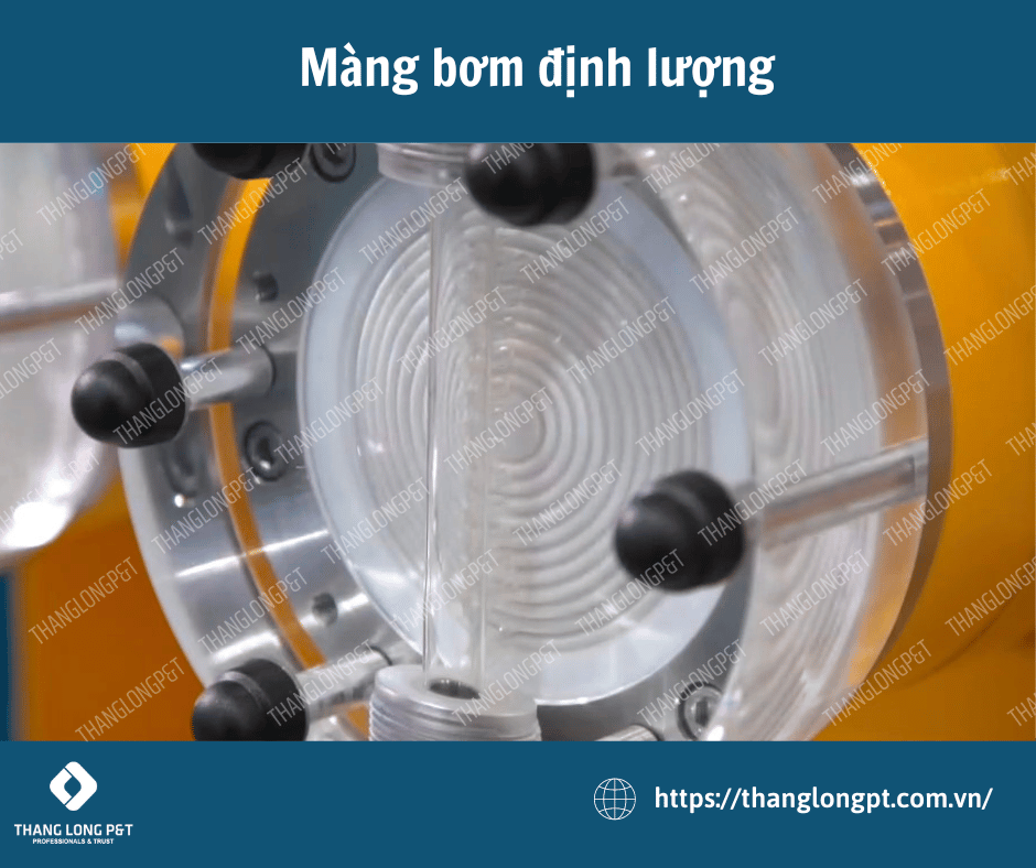 Vị trí của màng bơm định lượng trên bơm