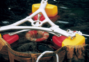 Bơm hút váng dầu SKIMMER giúp thu dầu nhanh chóng - hiệu quả